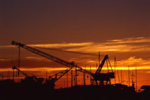 /images/store/51/CraneSunset.jpg
