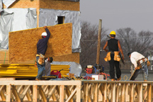 /images/store/51/Plywood_pict.jpg